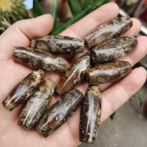 10Pcs/Lot Wholesale Natural French Conch Dzi Beads Loose Jewelry Mans Womans DIY Material Pendant Necklace Rosary