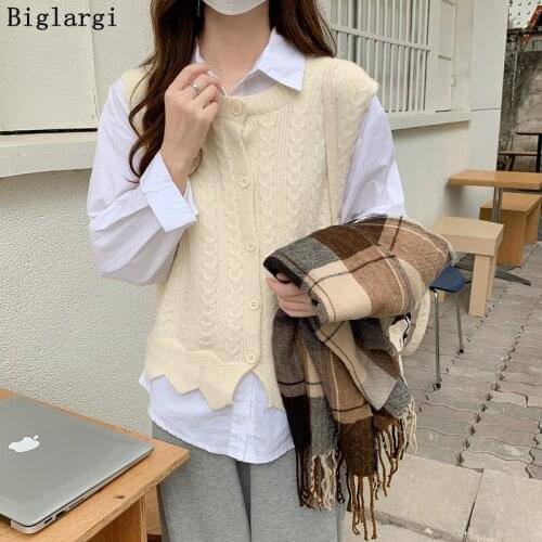 BigLargi Travel Vests