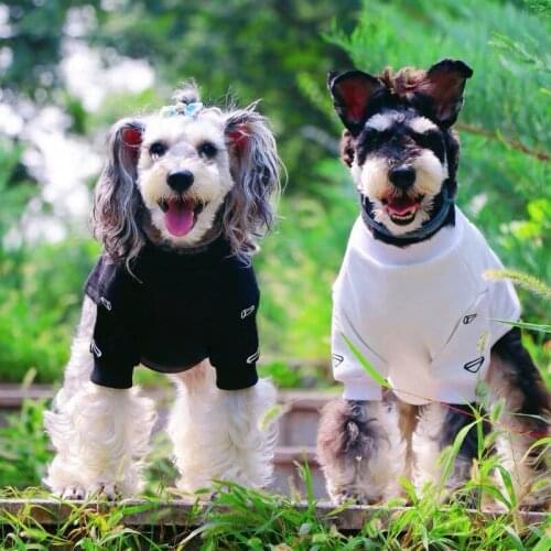 New Style Pet Dog Hoodie Winter Warm Coat Jacket For Small Medium Dogs Schnauzer French Bulldog Schnauzer Pug Dropshipping ZJC21