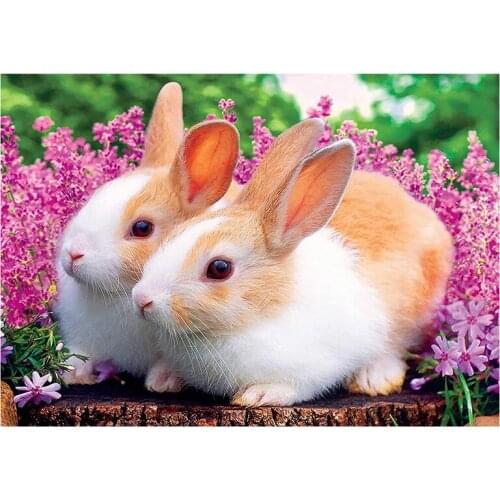 Round Diamond Full Diamond Painting Set Living Room Dining Room Decoration Children DIY Two Rabbits