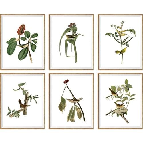 Discounted Set of 6 Floral Decoration Large Gallery Birds Flower Wall Art For Living Room Pictures No Frame HD Painting