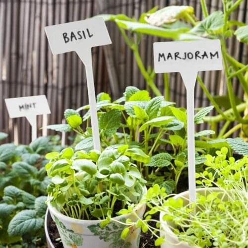 40Pcs Outdoor Plant Label Waterproof Plastic Plant T-Type Tags Durable Nursery Garden Markers Perfect for Herbs Flowers