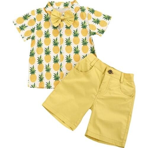 Boy’s Clothes Two Piece Set Fresh Pineapple/Dinosaur Short Sleeve Shirt and Solid Color Short Pants