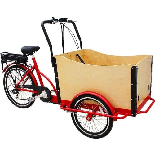 Heavy Duty Front Cabin Electric Cargo Tricycle Carry Kids Family Cargo Bike
