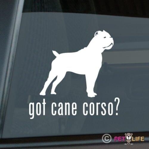 Got Cane Corso Sticker Die Cut Vinyl window decal