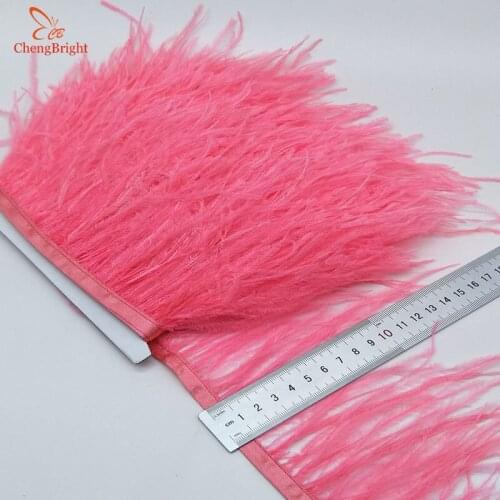 ChengBright Wholesale High Quality 10Yards Blood Ostrich Feather Ribbon Ostrich Feathers Trim Fringe Clothing Decoration diy