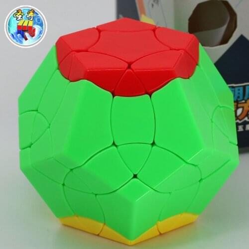 Magic cube puzzle Sengso Birds Adoring the Phoenix Megamin x megaminxeds stickerless dodecahedron 12 sides cube BaiNiaoChaoFeng