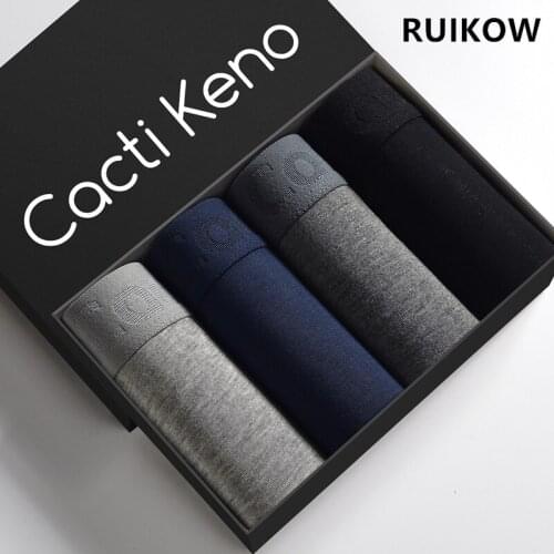 4PCS Big Pouch Male Modal Fabric Underpants Briefs & Boxers Mens Trunks Shorts Underwear Pure Color Low Panties for Sexy Man