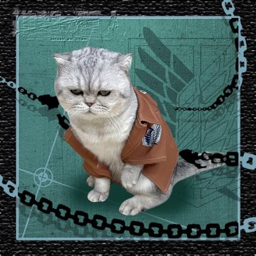 Attack on Titan Eren Jaeger Jiyuu no Tsubasa Little Cat & Dog Clothes Coat Uniform Set Cosplay Take Photo Props Pet Supplies