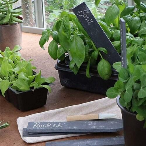 5 Pieces Garden Slate Tags Markers For Herbs Pots And Garden - Reusable Slate Plant Labels - Set Of 5 Natural Slate