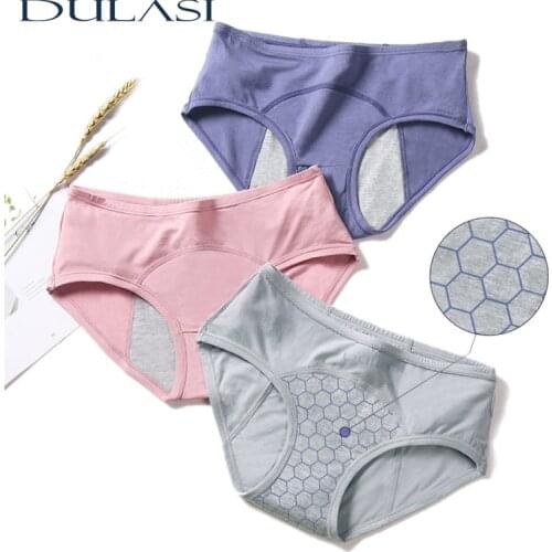 Menstrual Pants Women Period Panties Cotton Breathable Leakproof Underwear Girl Warm Lingerie Mid-Rise Briefs 3 Pcs Dropshipping