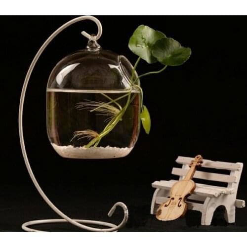 Suspended Transparent Hanging Glass Fish Tank Infusion Bottle Aquarium Flower Plant Vase Flower Vase for Home Decoration