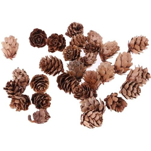 60pack Mini Natural Dried Pine Cones Home Ornament DIY Dried Floral Crafts