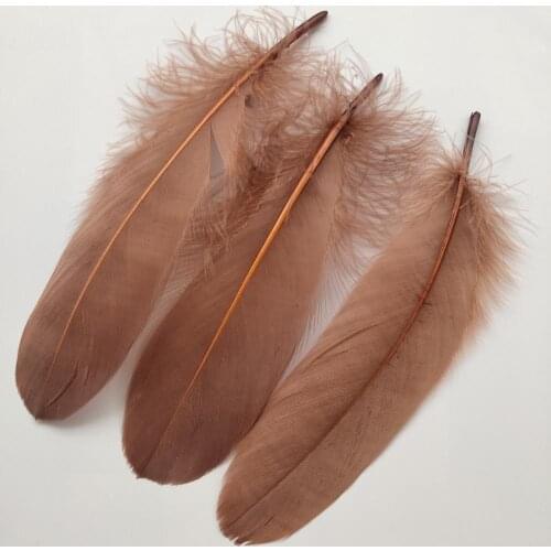 Hot 20pcs Beautiful Coffee Hard Goose Feathers 15-20cm/6-8inch Christmas Decoration Clothing Shoes Hat Accessories
