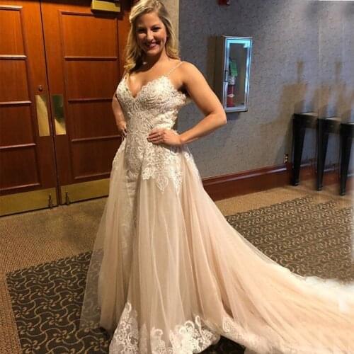 Sexy Champagne Wedding Dresses With Ivory Applique Spaghetti Straps Backless Bridal Dresses Sweep Train Custom Made Wedding Gown
