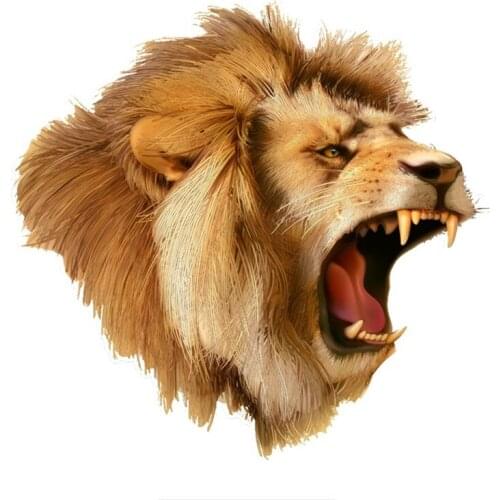 Personality Lion Roar Car Sticker PVC Coloful Decals Automobile Motorcycle Accessories Stickers for Office Home,14cm*14cm