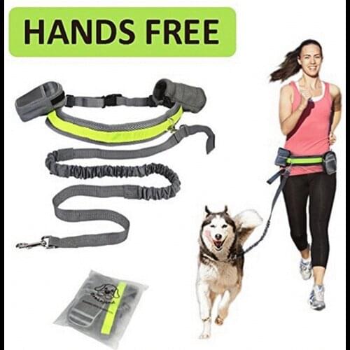 Первый питомец LKEEP China At AliExpress