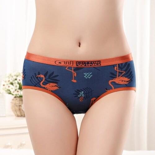 Cotton Wind Women Panties Flamingo Cartoons Female Underwear Seamless Low Waist Sexy Knickers Calcinha Lingerie Girls Briefs