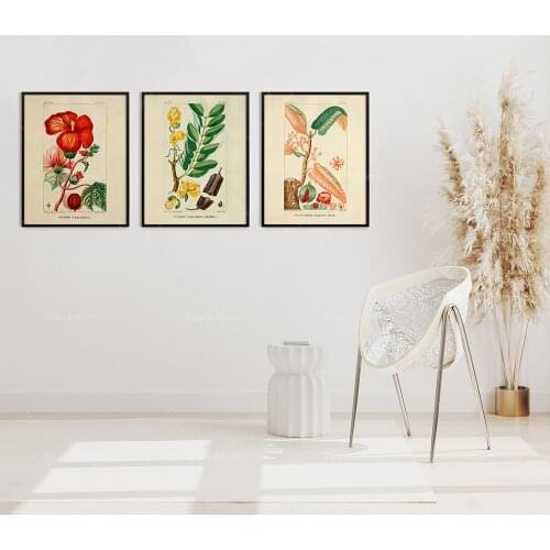 Vintage French plant print set, Jean-Théodore Descourtilz mural, three sets of Giclée print French illustration decorative poste