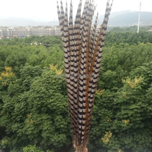 Hot sales 50pcs beautiful natural copper feathers long 40-44 inches / 100-110 cm decorative diy collection stage show