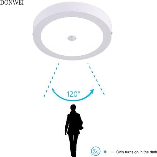 DONWEI Infrared Drying Lamps