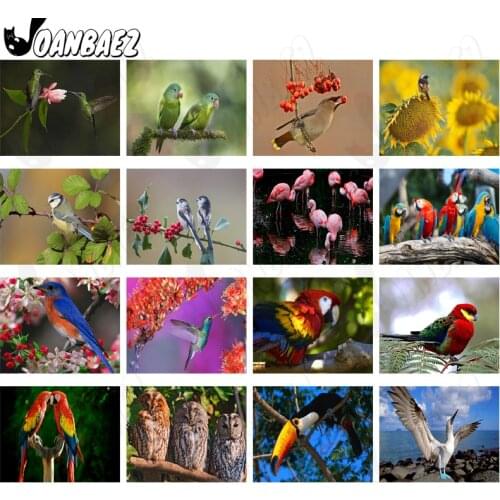 Bird Diamond Painting 5D Diy Animal Cross Stitch Wall Art Hummingbird Parrot Diamond Inlaid Home Handmade Gift Decoration