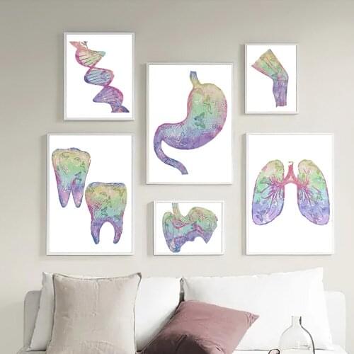 Gene Lungs Stomach Teeth Joints Anatomy Wall Art Canvas Painting Hospital Posters And Prints Wall Pictures Doctor Office Decor