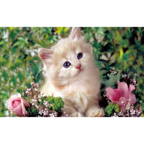 3D Needlework inlay Diamond Embroidery cat diy Diamond Painting Cross Stitch 5d Wedding Decoration Home Decor Stickers Flowers