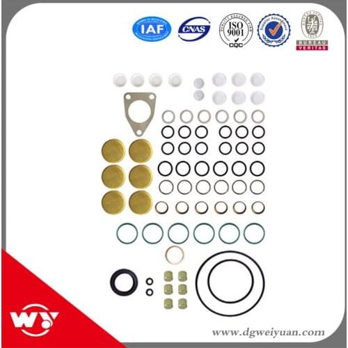 Best seller repair kits 2417010010 800019 for injector pump