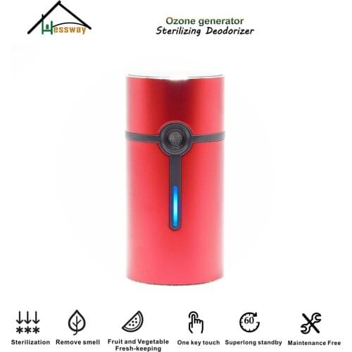Ozone release 1mg / h Air Cleaner ozone generator for Small Space Clear Odor