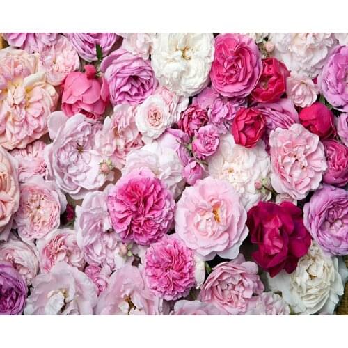 Rose backgrounds newborn photography props vinyl marriage ceremony photo backdrops in photo studio accessories Photophone NB-046