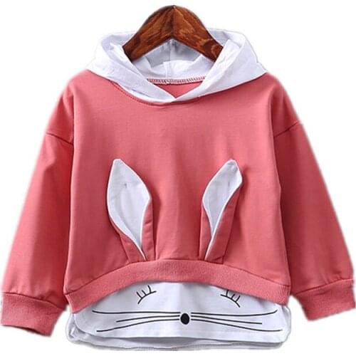 Spring Autumn Baby Girls Hoodies and Sweatshirts Children Boys Sport T-shirts Cartoon Hooded Kids Tops BC546