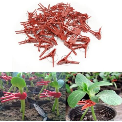 New Arrival Style 50Pcs/100Pcs Durable Plastic Grafting Clips Garden Vegetable Flower Tomato Vine Bushes Plants
