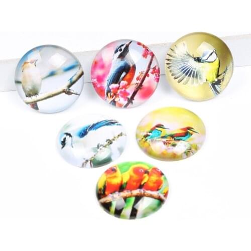 Reidgaller Glass cabochon 12mm 20mm 25mm 30mm mixed bird photo round dome cameo jewelry findings for pendant earrings