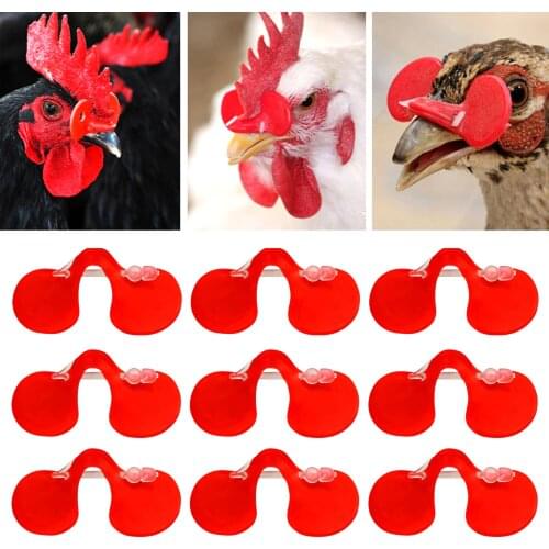 Переноски для животных Behogar China At AliExpress