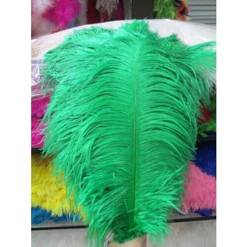 Sales of high-quality 100pcs / Many green ostrich feathers 55-60cm, DIY wedding decorations / decorative home accessories