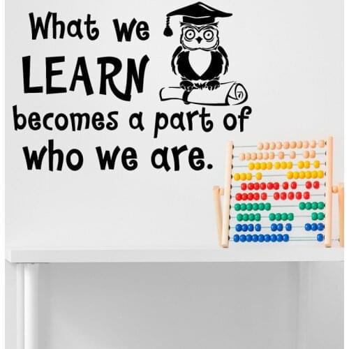 Vinyl Wall Decals For Owl Dr. Quote"What We Learn Becomes a part of who we are"Cute Owl Wall Stickers Classroom Study Room AL348