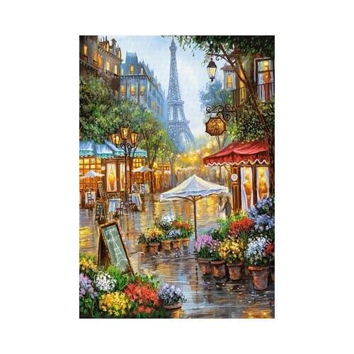 14/16/18/27/28 Needlework,for embroidery,DIY DMC 14CT Unprinted Cross stitch kits,European classical oil flower