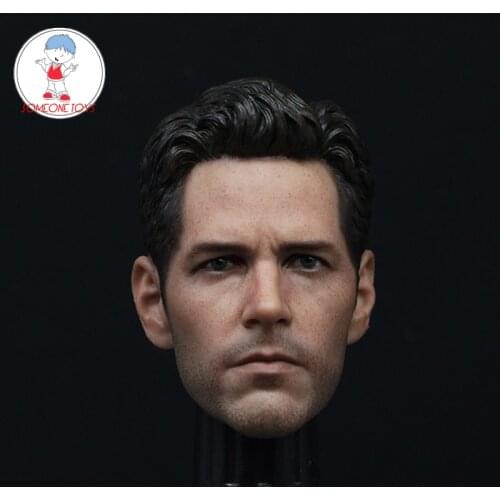 Custom 1/6 Scale Paul Rudd Antman Head Sculpt Compatible Hot Toys 1.0 Antman