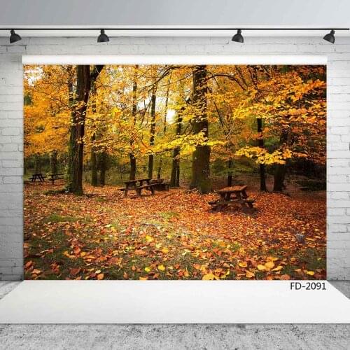 Fallen Leaves Forest Bench Photographic Background Vinyl Backdrops Photo Studio for Wedding Children Baby Toy Pets Photobooth