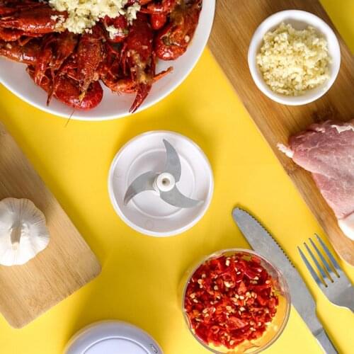 250ml Mini USB Wireless Electric Garlic Masher Sturdy Press Mincer Vegetable Chili Meat Grinder Food Chopper Kitchen Accessories