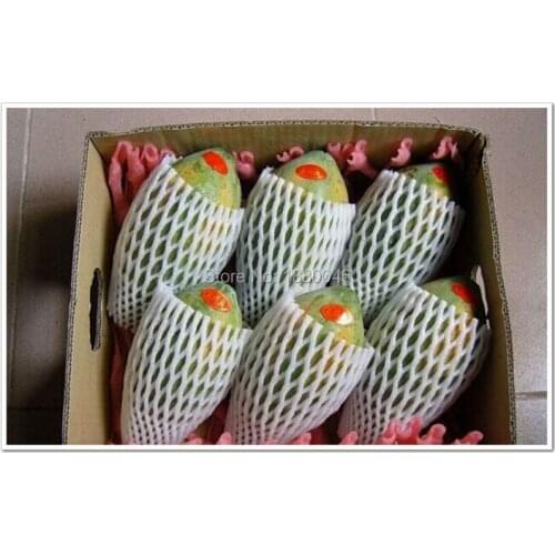 Fruit foam white EPE Foam mesh sleeve net Thick fruit foam sleeve net for Small watermelon packing material 20cm*10cm 500pcs