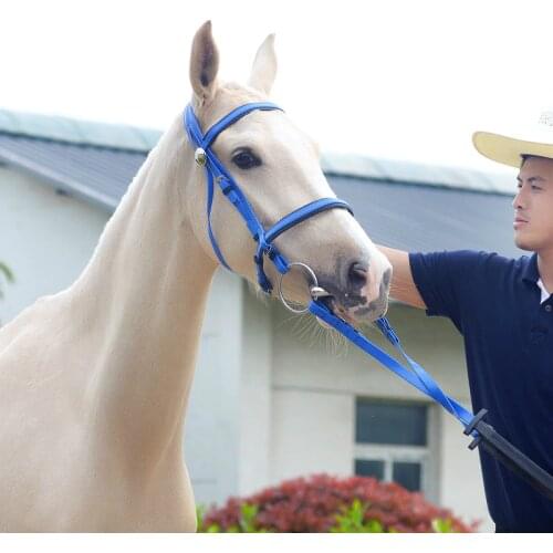 Durable Horse Head Collar Halter Horse Riding Bridle Horse Riding Equipment Halter PVC Horse Equestrian Accessories