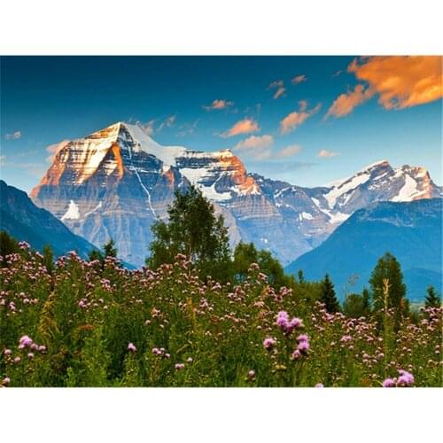 Flower Landscape Printed Canvas 11CT Cross Stitch Kit Embroidery DMC Threads Craft Hobby Painting Handiwork Promotions Needle