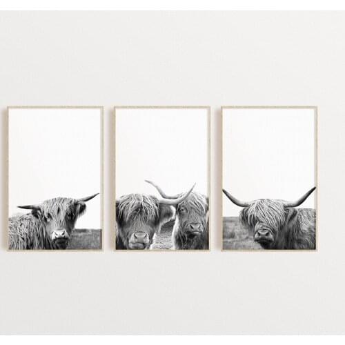 Black White Highland Cow Cattle Wall Canvas Art Nordic Painting Poster and Print Scandinavian Farmhouse Picture for Living Room