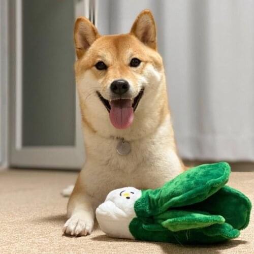 Korean Plush Dog Toys Squeaky Cabbage Corn Chestnut Puppy Chew Toy Interactive Cat Toys Pet Dog Sound Toys For Small Dog