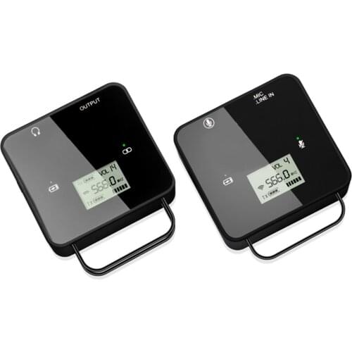 Feidu FM40 Portable mini UHF Wireless Professional Microphone with true diversity reception system Lavalier Mic for camera DSLR