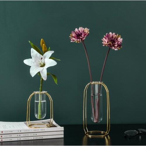 Unique Metal Hydroponic Vase Stainless Steel Glass Test Tube Hanging Geometric Plant Vase Nordic Style Home Decoration