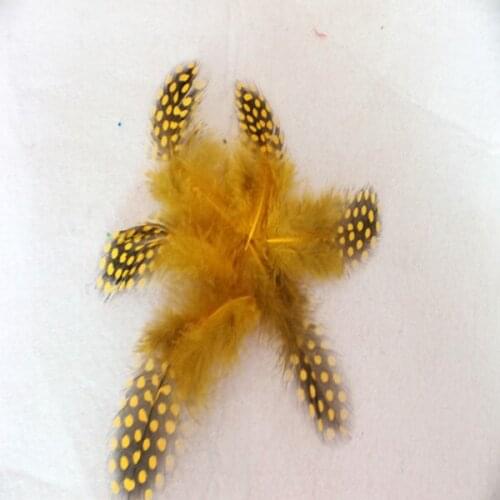 Wholesale 20pcs high quality beatiful natural guinea fowl feather 5-8cm / 2-3inch Decorative diy yellow