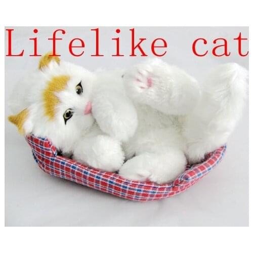 Birthday gift free shipping mini cat fake cat toy ornamental cat